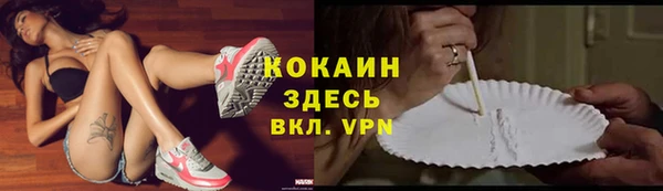 сатива Алексин