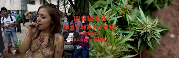 PSILOCYBIN Алексеевка