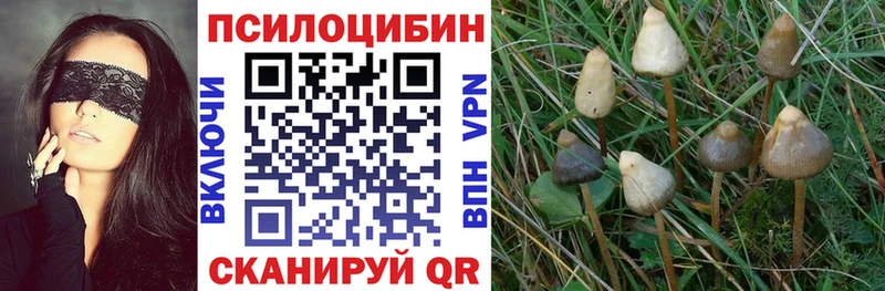 Галлюциногенные грибы мухоморы  ссылка на мегу ONION  Бирск 